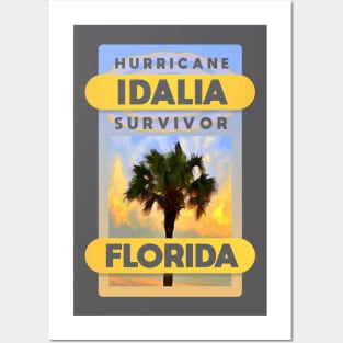 I Survived Hurrican Idalia Posters and Art